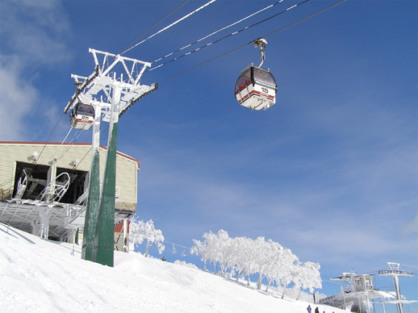 日本滑雪前必睇!5萬日圓滑雪旅程恐變滑草?5大雪場Live Cam連結訂機票前留神