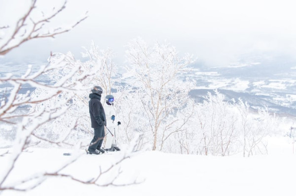 日本滑雪前必睇!5萬日圓滑雪旅程恐變滑草?5大雪場Live Cam連結訂機票前留神