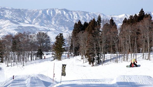 日本滑雪前必睇!5萬日圓滑雪旅程恐變滑草?5大雪場Live Cam連結訂機票前留神