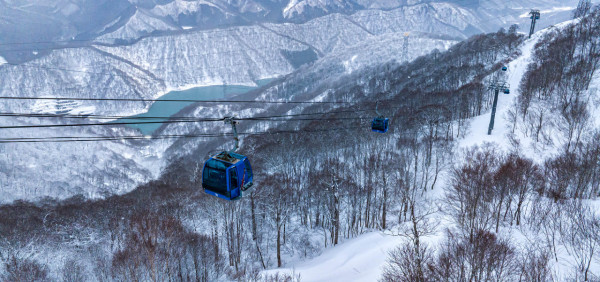 日本滑雪前必睇!5萬日圓滑雪旅程恐變滑草?5大雪場Live Cam連結訂機票前留神