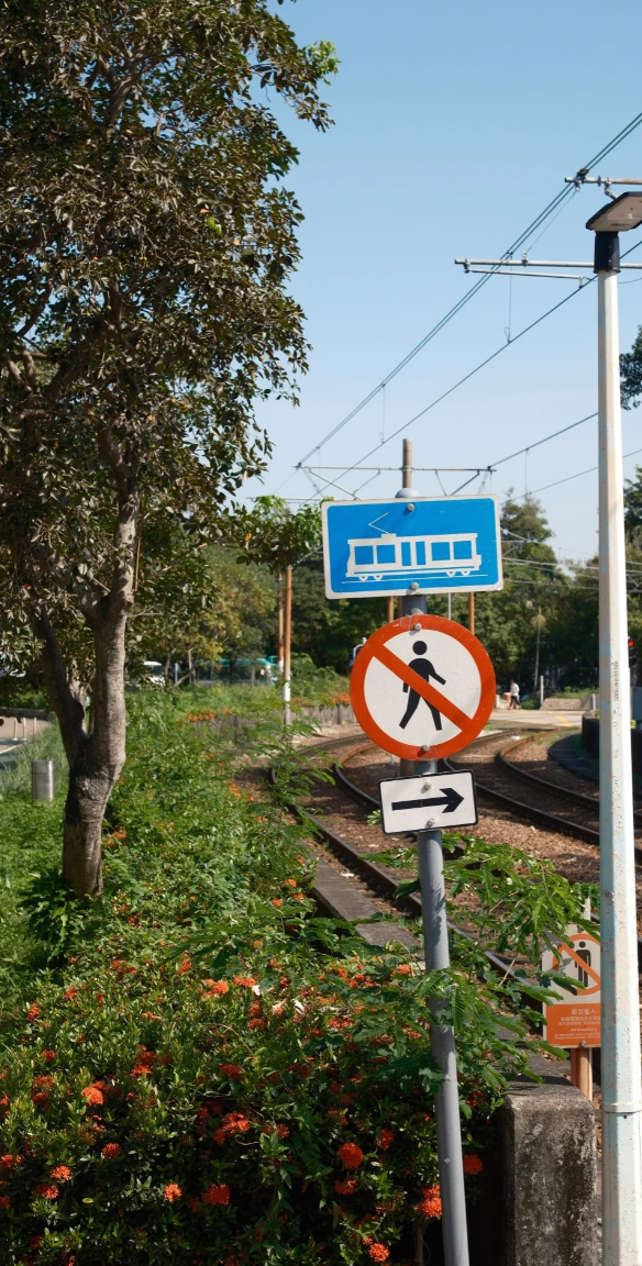 照片來源:小紅書 照片來源:小紅書