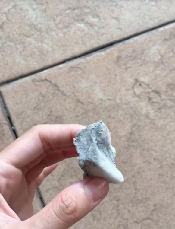 波鞋發黑有救！12蚊店「去污海綿」網民實測：輕擦幾下黑邊消失、即刻變白