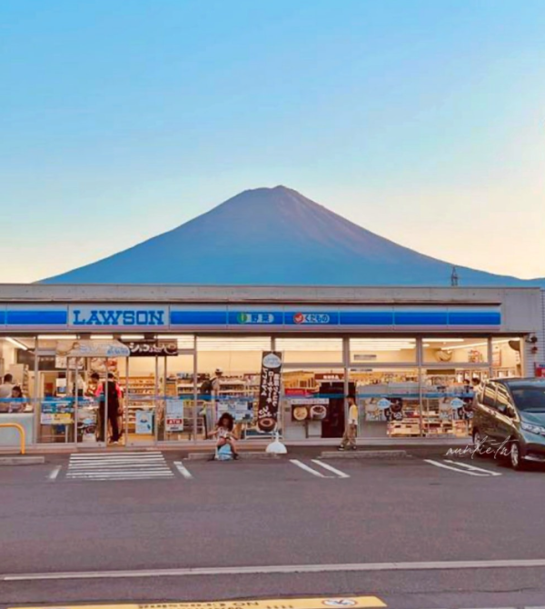 照片來源:網上圖片 照片來源:網上圖片