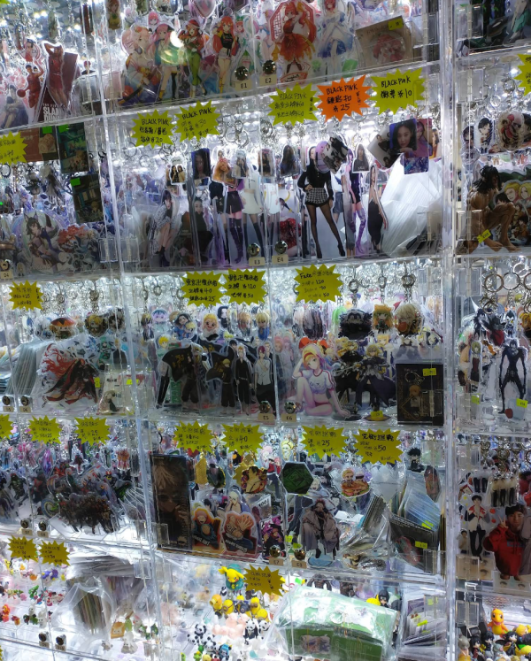 照片來源:網上圖片 照片來源:網上圖片