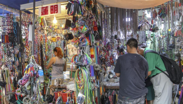 照片來源:網上圖片 照片來源:網上圖片