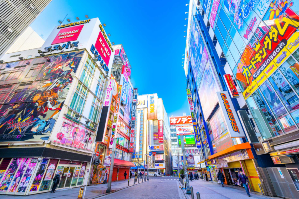 照片來源:網上圖片 照片來源:網上圖片