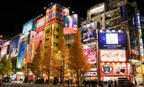 照片來源:網上圖片 照片來源:網上圖片