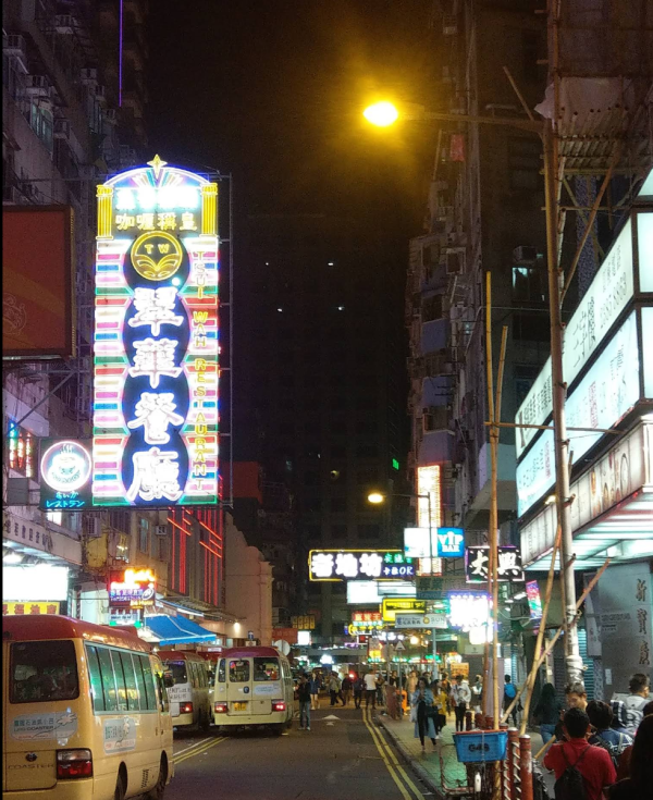 照片來源:網上圖片 照片來源:網上圖片