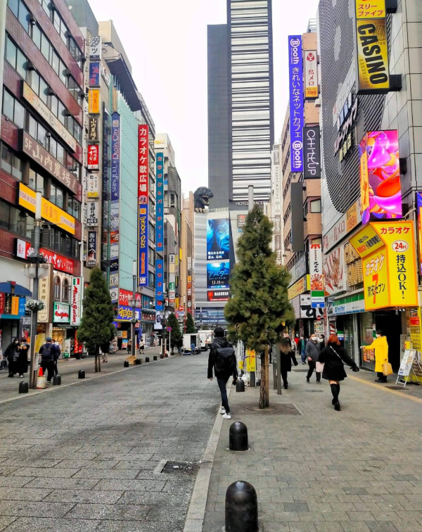 照片來源:網上圖片 照片來源:網上圖片