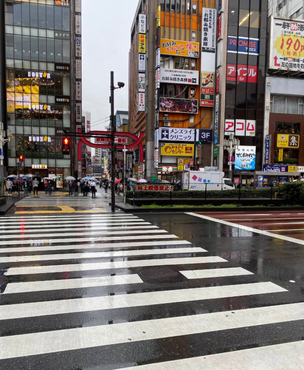 照片來源:網上圖片 照片來源:網上圖片