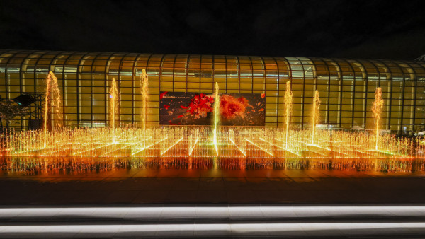 聖誕好去處2025｜全港40+打卡熱點懶人包！巨型聖誕樹/飄雪/市集 最靚燈飾地圖（持續更新）