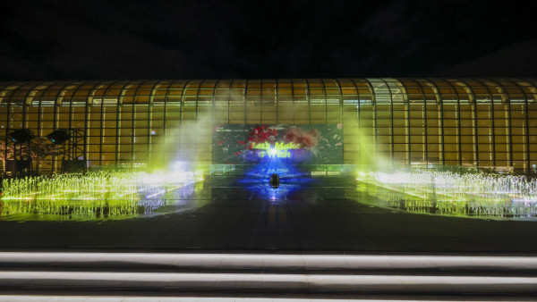 聖誕好去處2025｜全港40+打卡熱點懶人包！巨型聖誕樹/飄雪/市集 最靚燈飾地圖（持續更新）