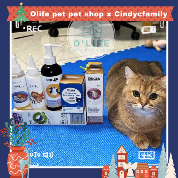 聖誕好去處2025|全港40+打卡熱點懶人包!巨型聖誕樹/飄雪/市集 最靚燈飾地圖(持續更新)