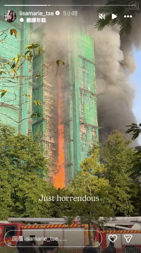 大埔宏福苑大火｜謝嘉怡親屬受災家陷火海 目睹五級火吞噬！悲痛發文：痛心的一天