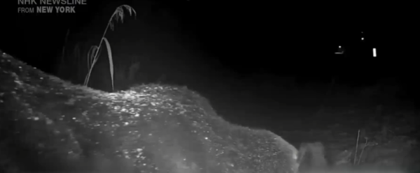 照片來源：NHK News