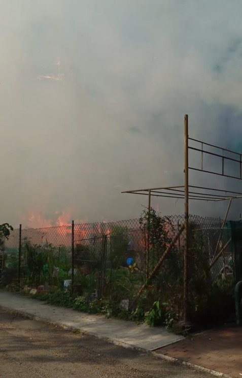 大埔宏福苑五級火｜17年來首宗僅次「災難級」一文睇清香港火警6級制標準＋香港歷史大火