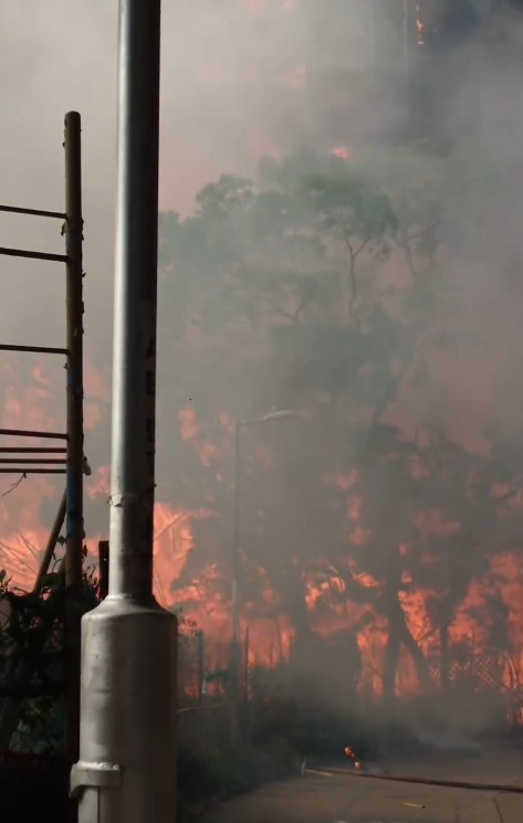 大埔宏福苑五級火｜17年來首宗僅次「災難級」一文睇清香港火警6級制標準＋香港歷史大火