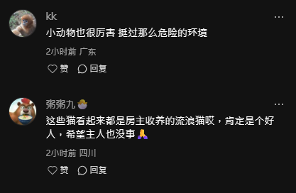 大埔五級火｜香港消防員火場拼命救出9貓1狗！ 內地網民感動致敬：真英雄 