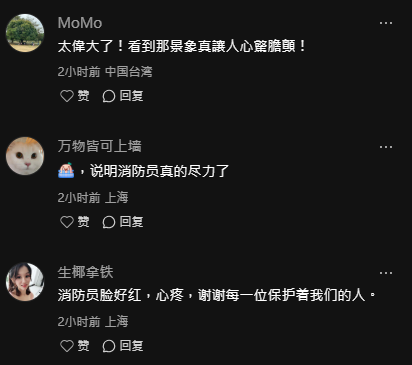 大埔五級火｜香港消防員火場拼命救出9貓1狗！ 內地網民感動致敬：真英雄 