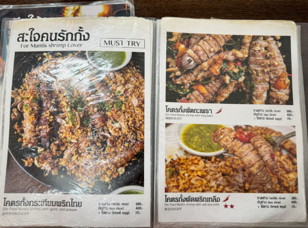 照片來源：網上圖片 