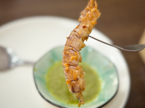 照片來源：網上圖片 