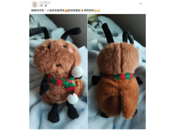 12蚊店「小強毛公仔」意外爆紅！遭瘋搶掀熱議 網民震驚：到底邊個會買？