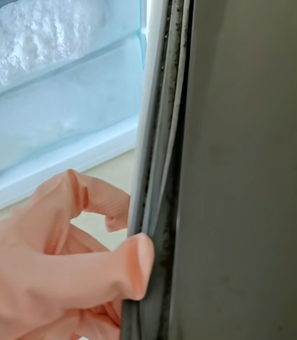 雪櫃膠邊發霉?專家警告1情況=食菌落肚兼嘥電:教你「牙刷加1物」5分鐘起漬