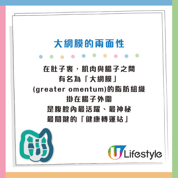 體重沒變肚子卻愈來愈凸？醫生：大網膜恐成癌細胞溫床 附5病變徵兆