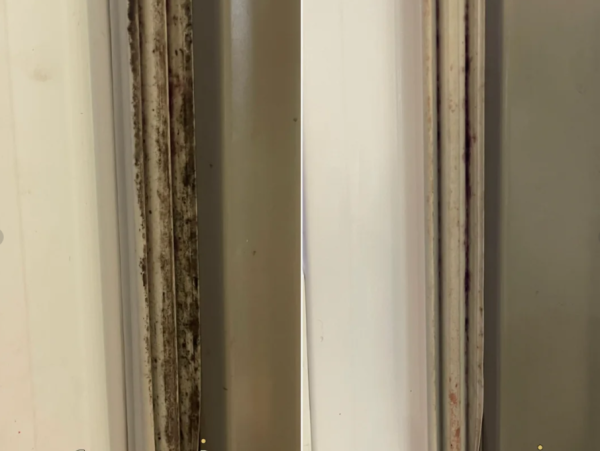 雪櫃膠邊發霉？專家警告1情況=食菌落肚兼嘥電：教你「牙刷加1物」5分鐘起漬