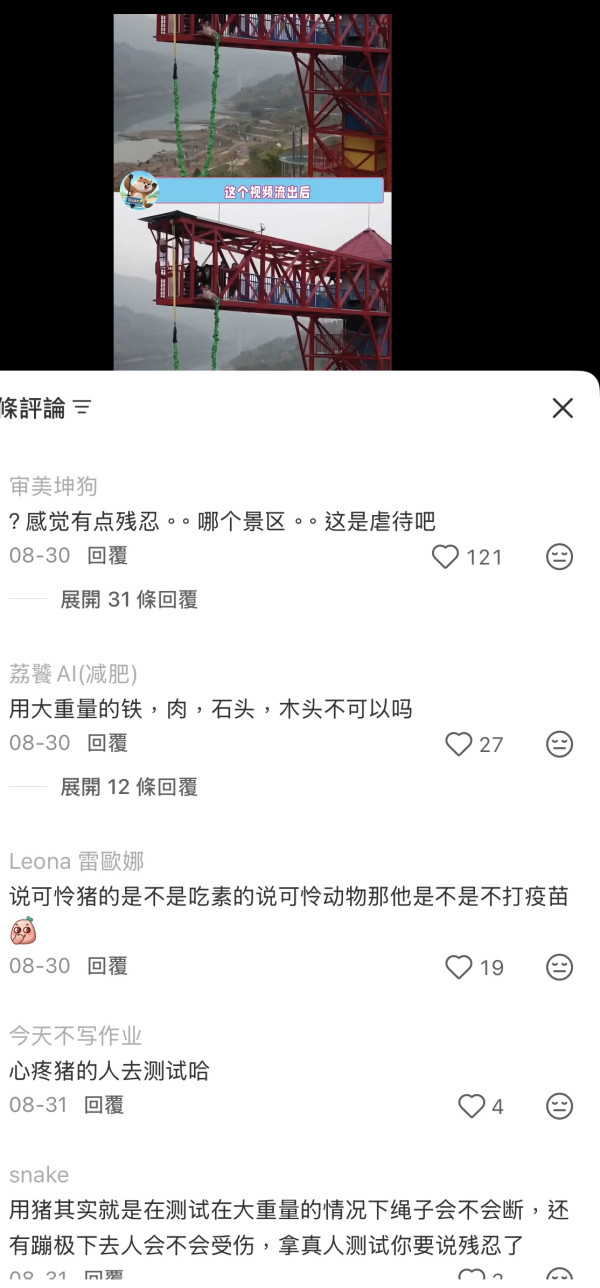 有片！景區搞「真豬跳」75KG肥豬被推下68米笨豬跳台 遊客怒吼虐待動物景區道歉：思慮不周 