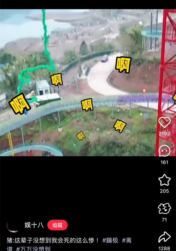 有片！景區搞「真豬跳」75KG肥豬被推下68米笨豬跳台 遊客怒吼虐待動物景區道歉：思慮不周 