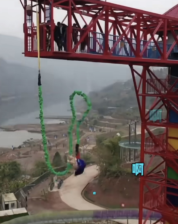 有片！景區搞「真豬跳」75KG肥豬被推下68米笨豬跳台 遊客怒吼虐待動物景區道歉：思慮不周 