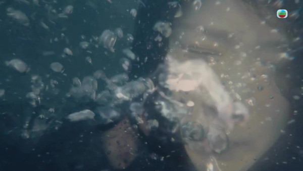 新聞女王2劇評｜佘詩曼親揭獻出拍劇生涯第一次！馬國明水中掙扎戲親為佐治解畫