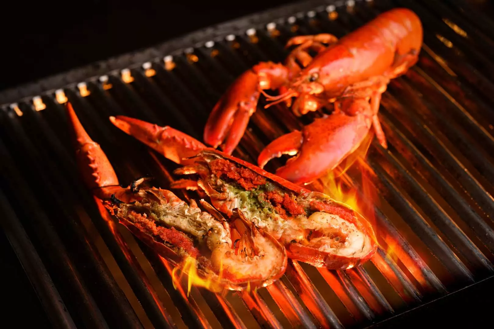 聖誕大餐2025｜聖誕食咩好？酒店自助餐低至$238/人氣餐廳/扒房/Live Music推介