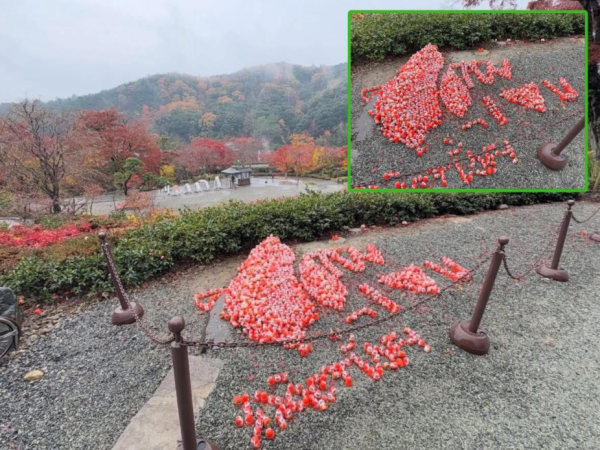 有片!內地女遊大阪勝尾寺見「愛台灣」發狂 狠手破壞被罵:影衰中國人