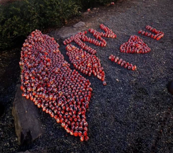 有片!內地女遊大阪勝尾寺見「愛台灣」發狂 狠手破壞被罵:影衰中國人