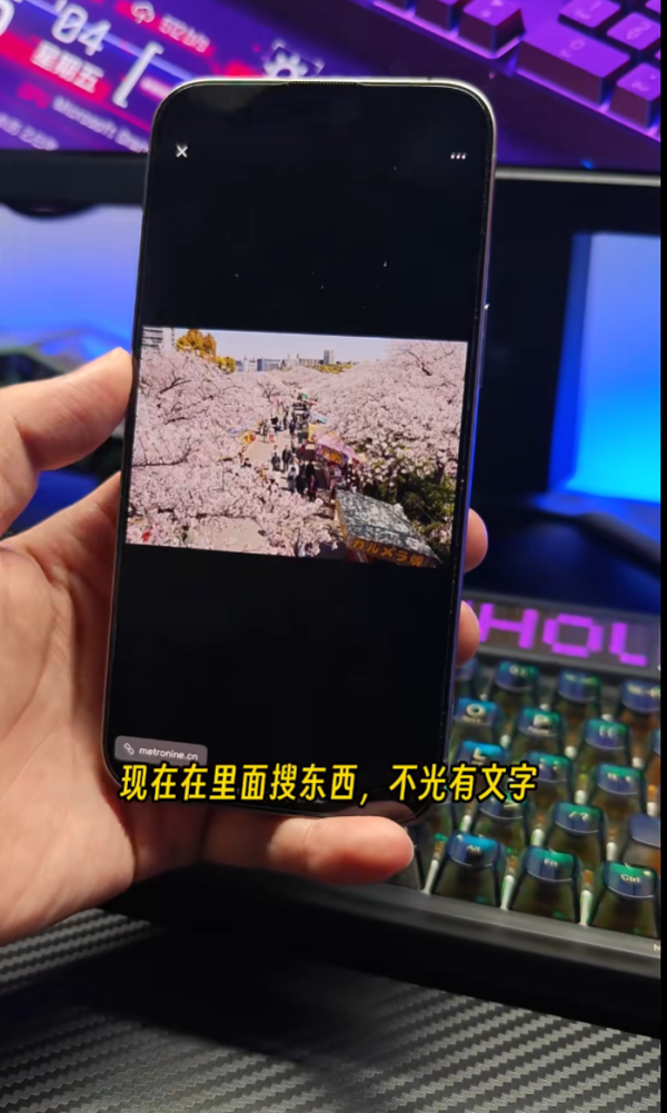 照片來源：小紅書