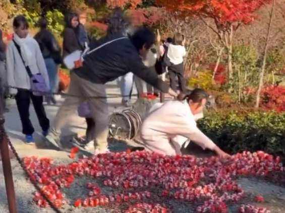 有片!內地女遊大阪勝尾寺見「愛台灣」發狂 狠手破壞被罵:影衰中國人