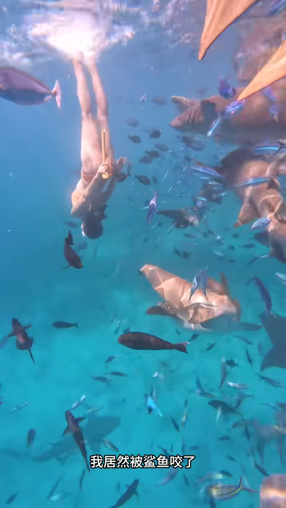 事發一刻曝光！內地女網紅遭鯊魚咬傷感染！ 月經引鯊魚？網民揭真兇係手上一物 