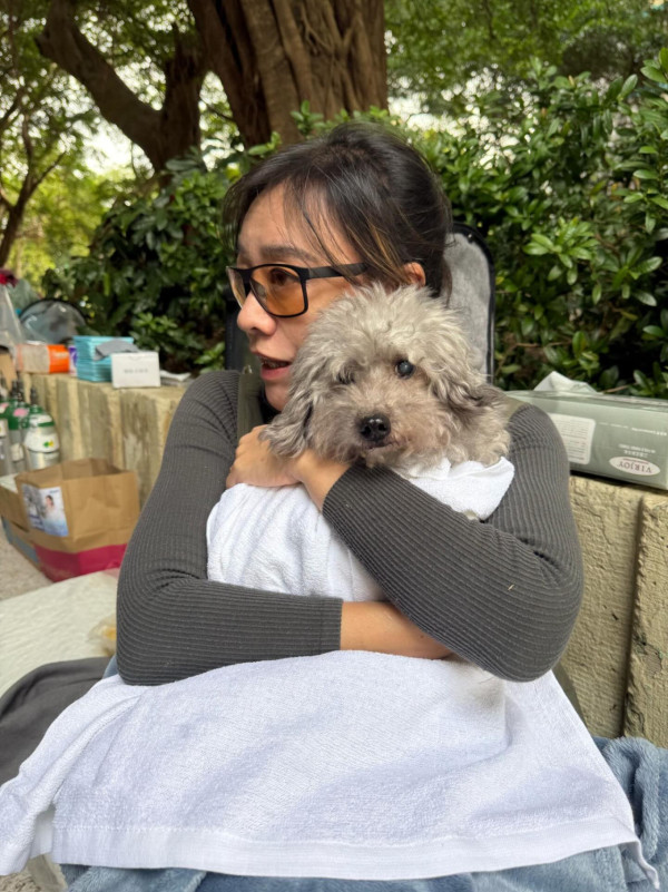 大埔宏福苑火災丨郭秀雲親赴現場坐地緊抱受驚小狗 善心舉動曝光獲災民發文致謝