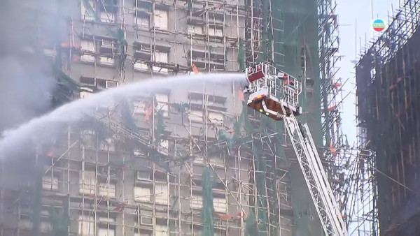 大埔宏福苑火災丨郭秀雲親赴現場坐地緊抱受驚小狗 善心舉動曝光獲災民發文致謝