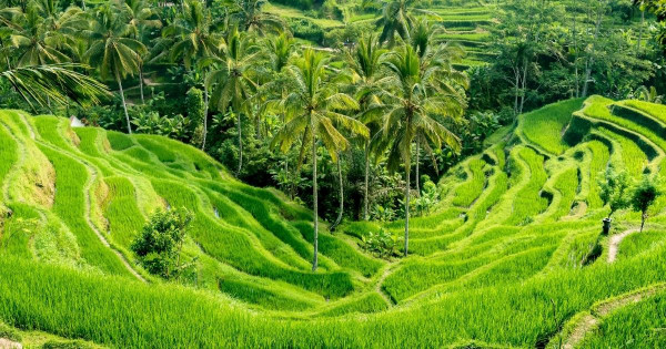 2025亞太區旅遊奢華大獎最佳城市｜香港贏大阪京都排位驚喜！東京奪冠10強名單公開 