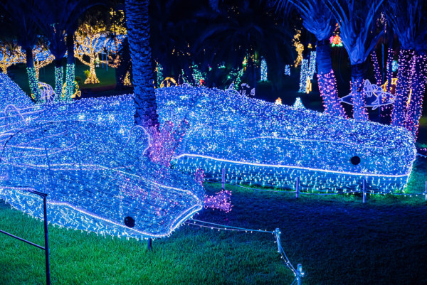 沖繩聖誕點燈2025|4大夢幻燈飾3000燈點亮琉球古城 美國村免費打卡附交通