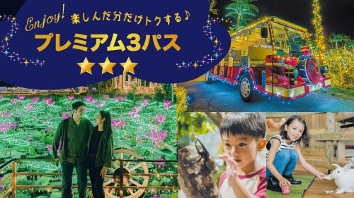 沖繩聖誕點燈2025|4大夢幻燈飾3000燈點亮琉球古城 美國村免費打卡附交通