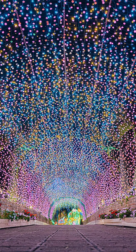 沖繩聖誕點燈2025|4大夢幻燈飾3000燈點亮琉球古城 美國村免費打卡附交通