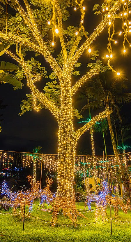 沖繩聖誕點燈2025|4大夢幻燈飾3000燈點亮琉球古城 美國村免費打卡附交通