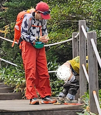 照片來源：網上圖片 