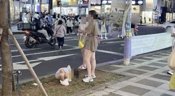 照片來源：網上圖片 