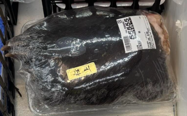 日本熊患｜殺熊6千隻屍體變高級法國菜？大廚：盼成北海道代表料理 