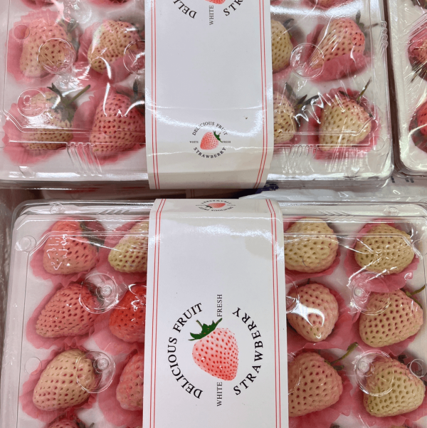 日本士多啤梨2025｜九州摘士多啤梨5大果園推介 熱門品種任摘任食！ 